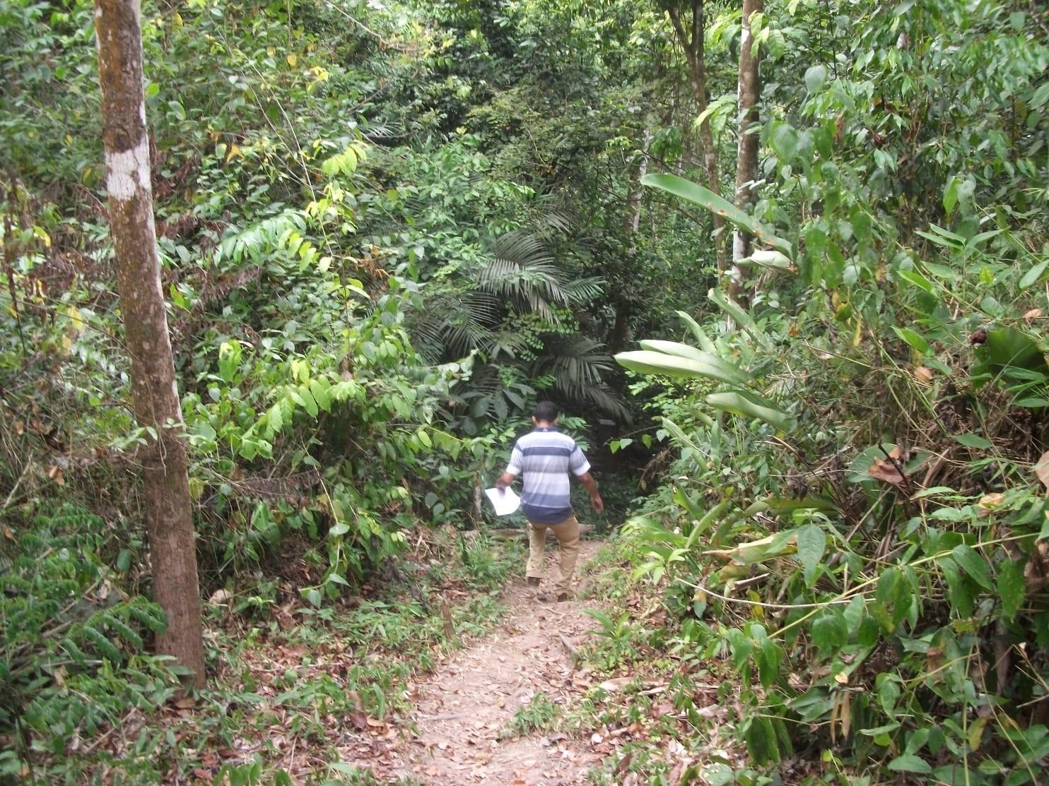 Pessoa caminhando por uma trilha estreita de terra dentro da mata